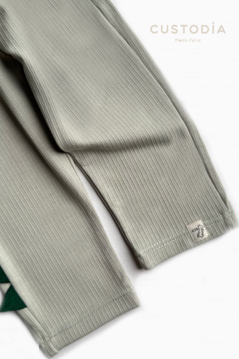 Set Buzo y Jogger Dino Aleticas